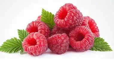 blog-1-1