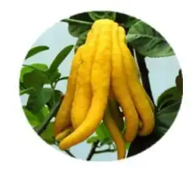 blog-1-1 blog-1-1