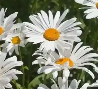 blog-1-1