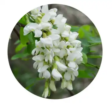 blog-1-1