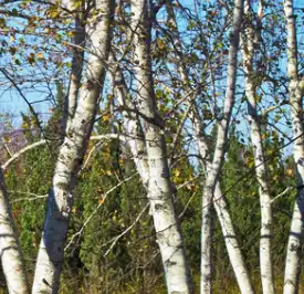 blog-1-1 blog-1-1