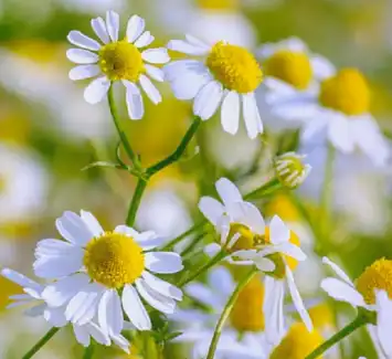 blog-1-1