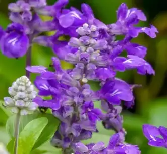blog-1-1
