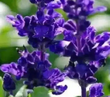 blog-1-1