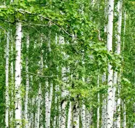 blog-1-1 blog-1-1