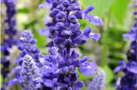 blog-1-1
