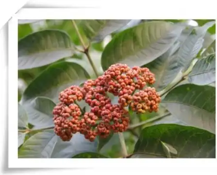 blog-1-1 blog-1-1