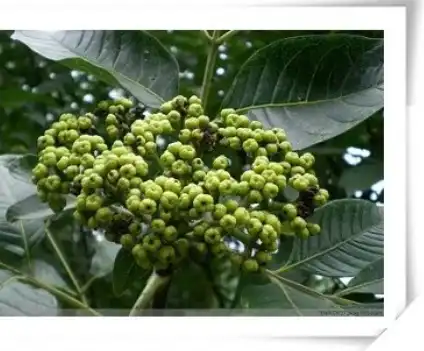 blog-1-1 blog-1-1
