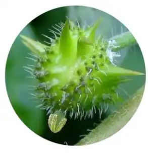 blog-1-1 blog-1-1