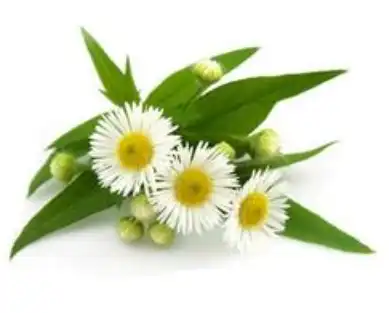blog-1-1 blog-1-1