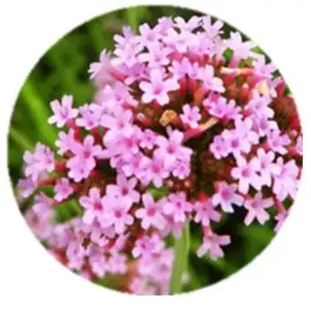 blog-1-1 blog-1-1