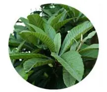 blog-1-1 blog-1-1