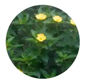 blog-1-1 blog-1-1