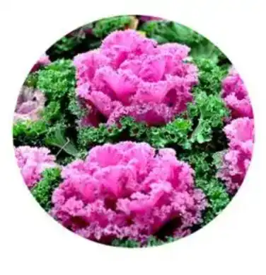blog-1-1 blog-1-1