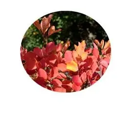 blog-1-1 blog-1-1