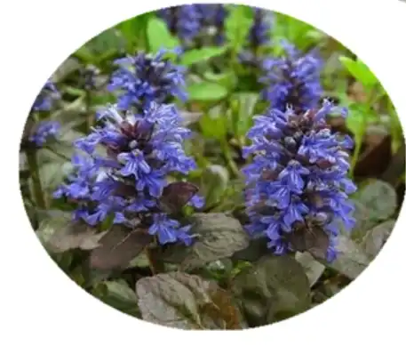 blog-1-1 blog-1-1