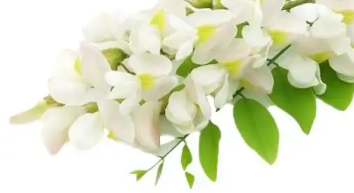 blog-1-1 blog-1-1