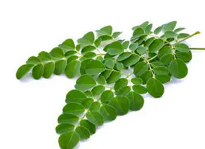 blog-1-1 blog-1-1