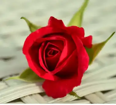 blog-1-1 blog-1-1