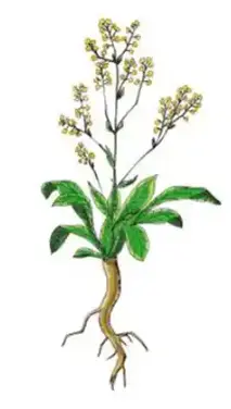 blog-1-1