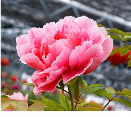 blog-1-1 blog-1-1
