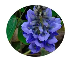 blog-1-1 blog-1-1