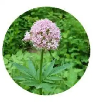 blog-1-1 blog-1-1