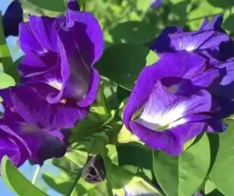 blog-1-1