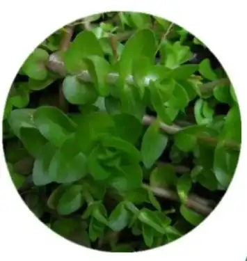 blog-1-1 blog-1-1
