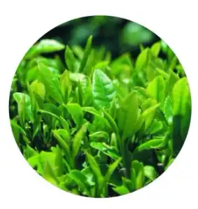 blog-1-1 blog-1-1