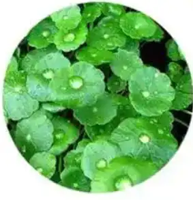 blog-1-1 blog-1-1