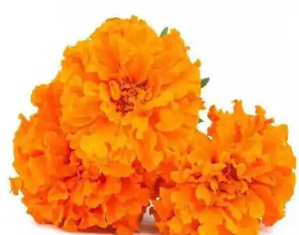 blog-1-1 blog-1-1