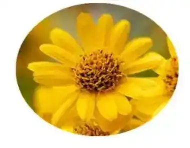 blog-1-1 blog-1-1