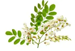 blog-1-1 blog-1-1