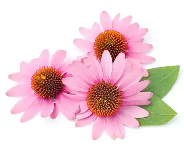 blog-1-1 blog-1-1