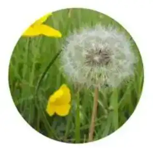 blog-1-1