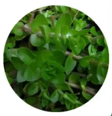 blog-1-1