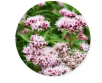 blog-1-1 blog-1-1