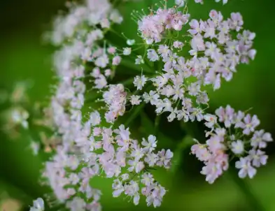 blog-1-1 blog-1-1