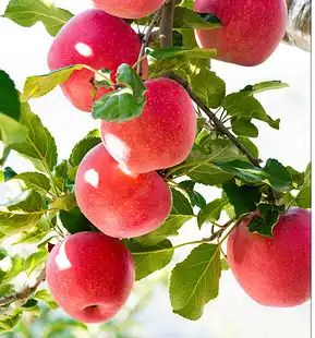 blog-1-1 blog-1-1