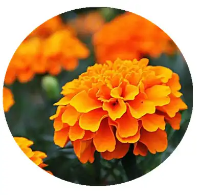 blog-1-1 blog-1-1