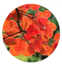 blog-1-1 blog-1-1