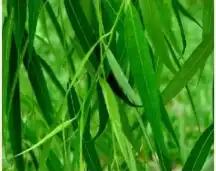 blog-1-1