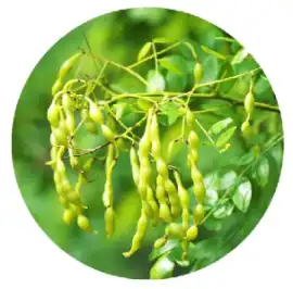 blog-1-1 blog-1-1