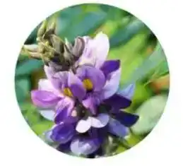 blog-1-1 blog-1-1