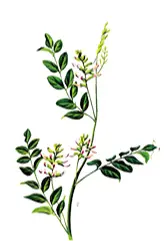 blog-1-1 blog-1-1