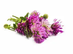 blog-1-1