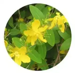 blog-1-1 blog-1-1