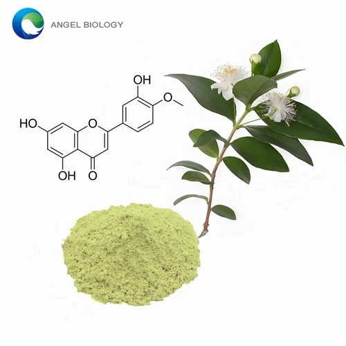 lemon myrtle extract lemon myrtle extract