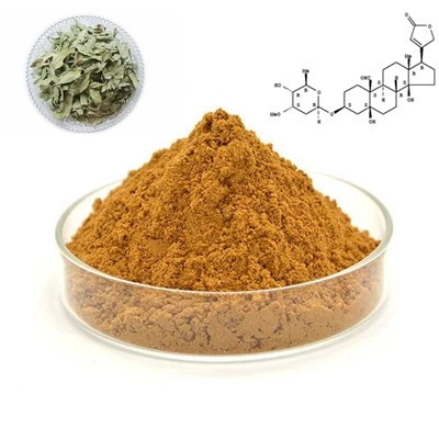 folium apocyni veneti extract powder folium apocyni veneti extract powder